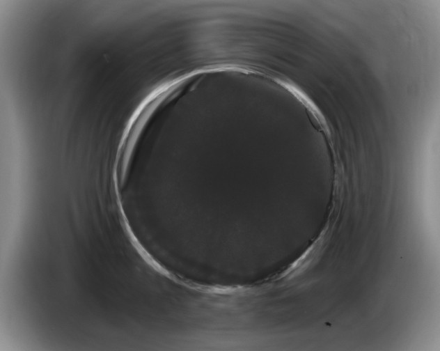 X0000085220813200703091158