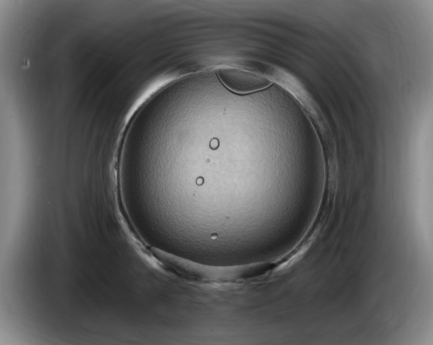 X0000085220814200703091158