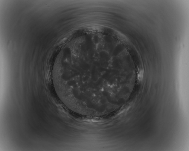 X0000085220819200703091157