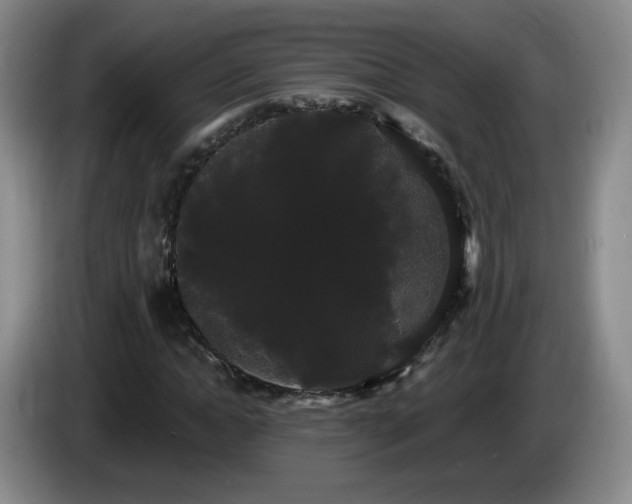 X0000085220822200703091158