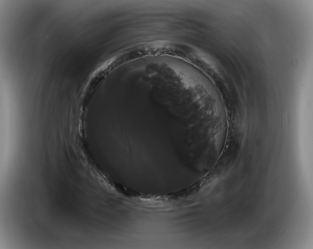 X0000085220823200703091158