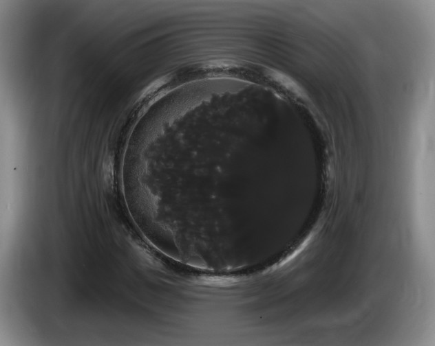 X0000085220825200703091158