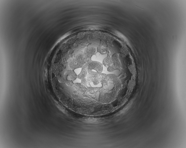 X0000085220827200703091158