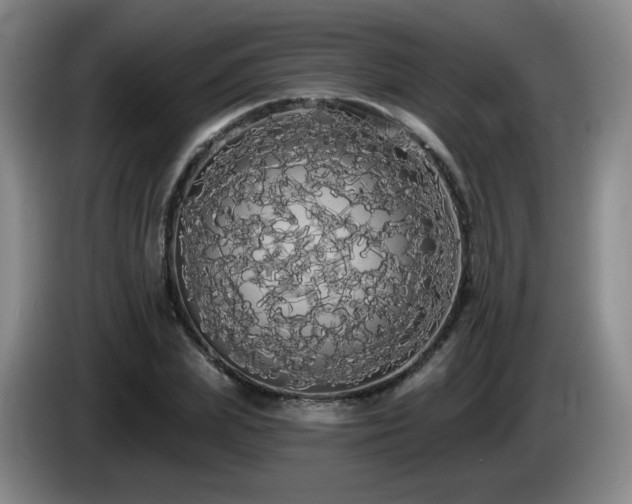 X0000085220831200703091158