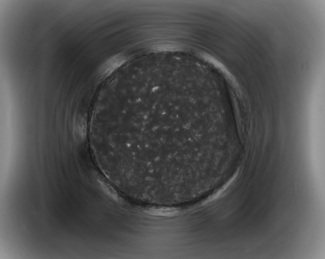 X0000085220833200703091158