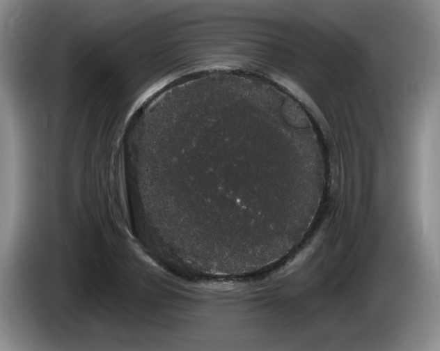 X0000085220834200703091158