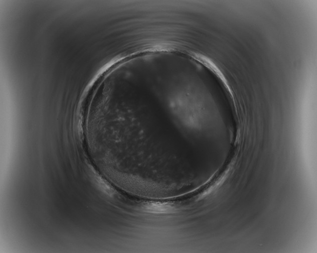 X0000085220835200703091158