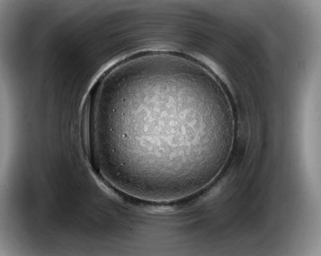 X0000085220837200703091158