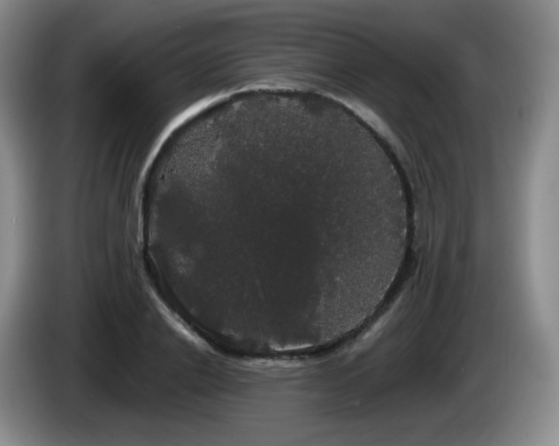 X0000085220838200703091158