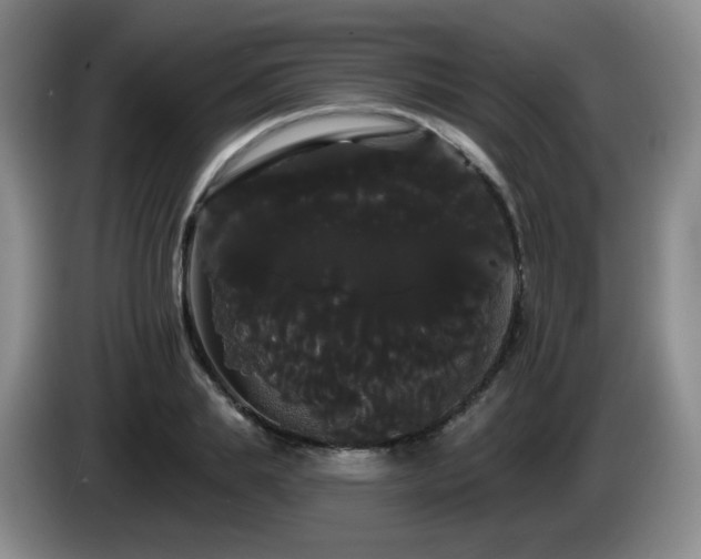 X0000085220839200703091158