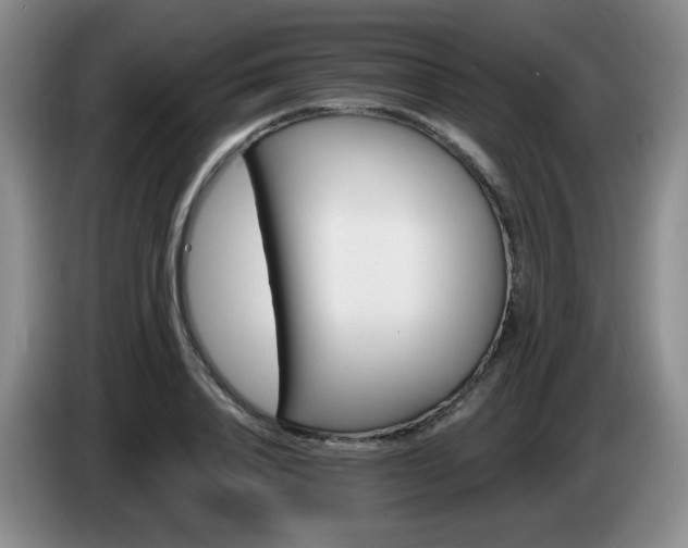 X0000085220840200703091158