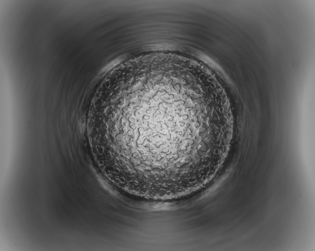 X0000085220841200703091158