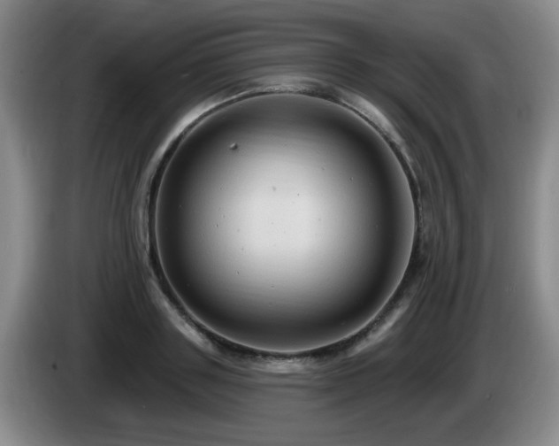 X0000085220843200703091158