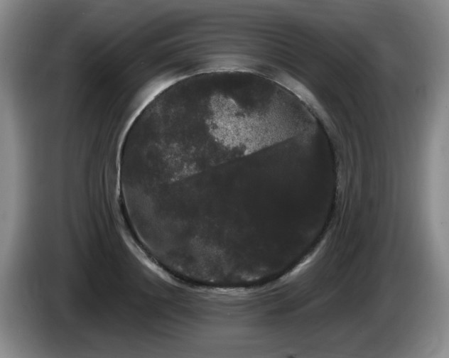 X0000085220844200703091158