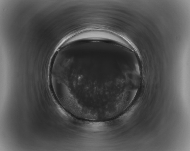 X0000085220845200703091158