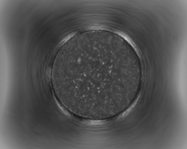 X0000085220849200703091158