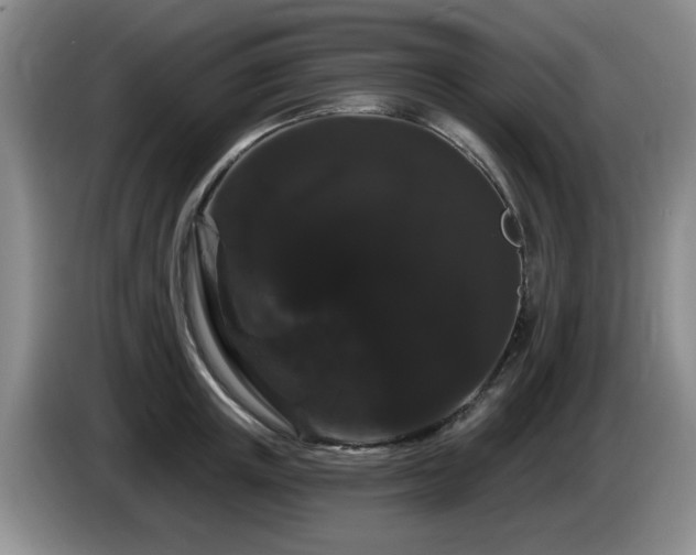 X0000085220851200703091158