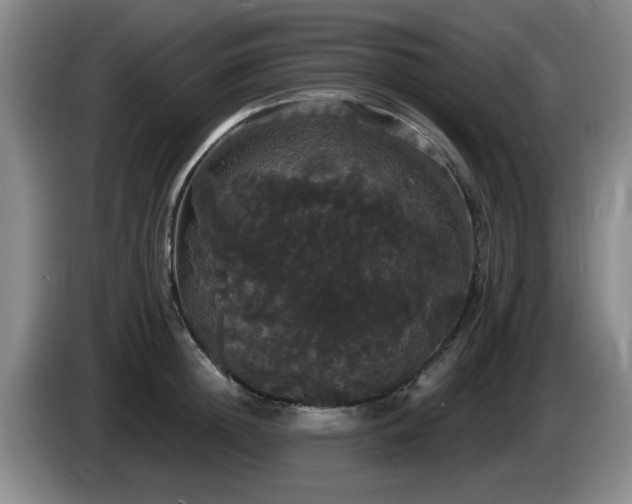 X0000085220852200703091158