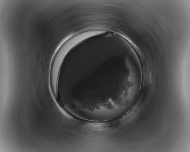 X0000085220853200703091158