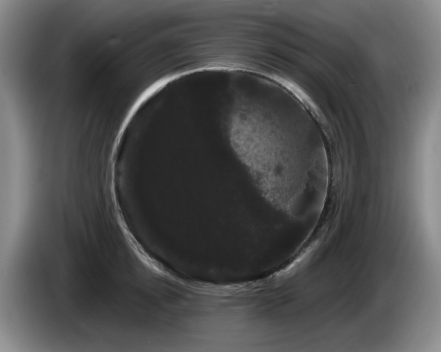 X0000085220854200703091158