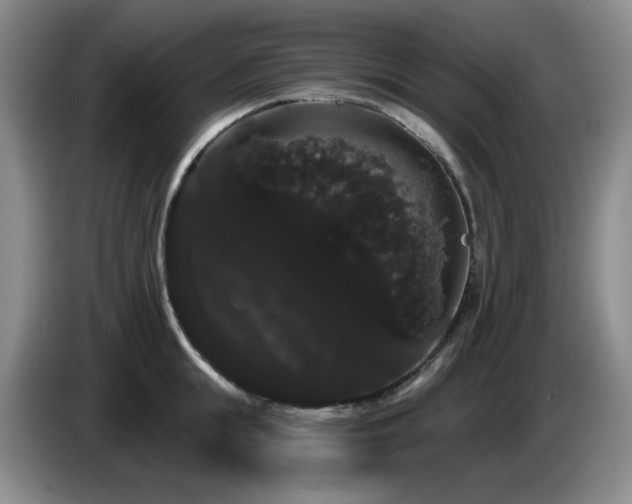 X0000085220855200703091158