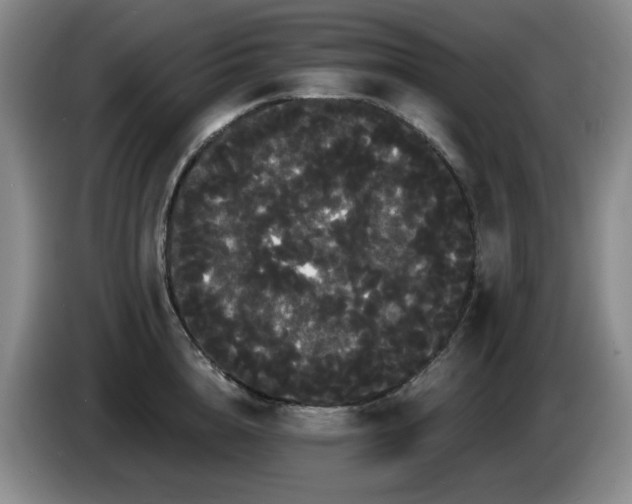 X0000085220856200703091158
