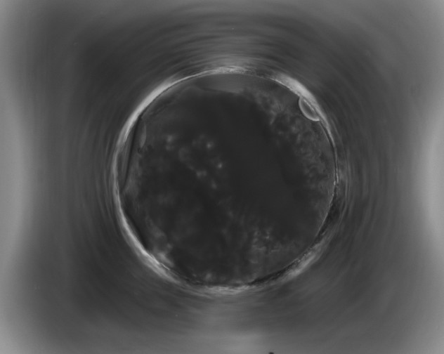 X0000085220859200703091158