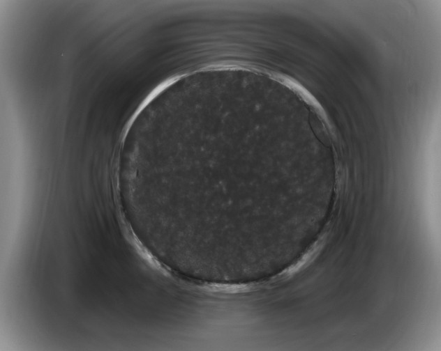 X0000085220860200703091158