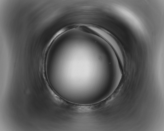 X0000085220861200703091158