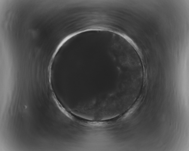 X0000085220862200703091158