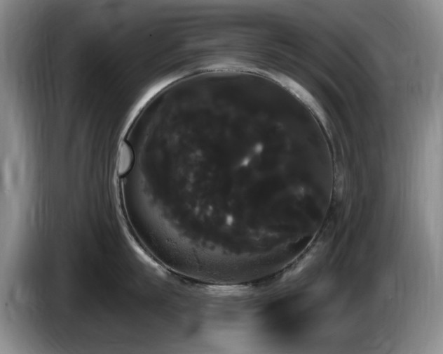 X0000085220863200703091158