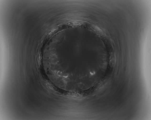 X0000085220866200703091157