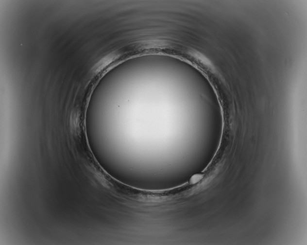 X0000085220873200703091157