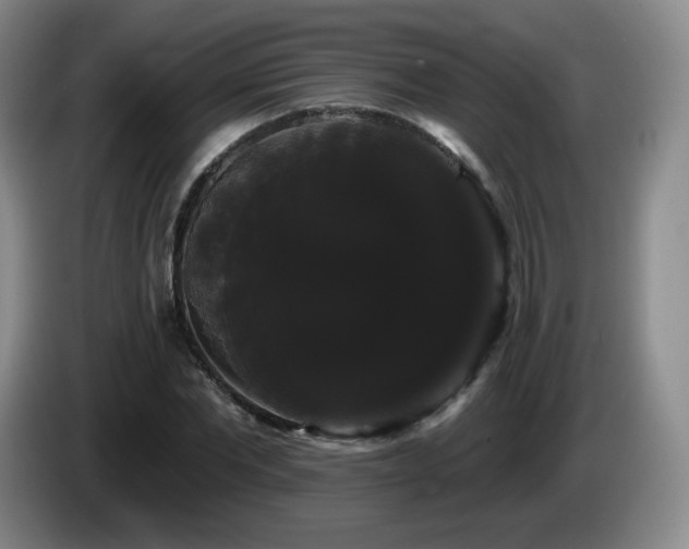 X0000085220877200703091157