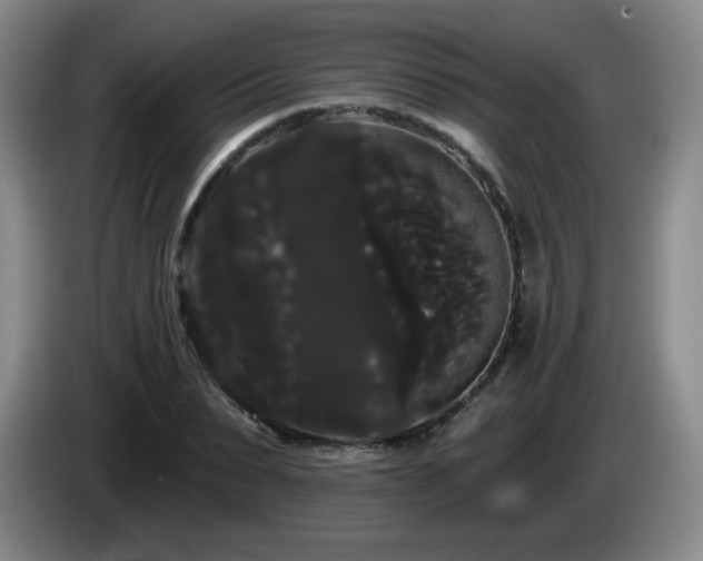 X0000085220879200703091157