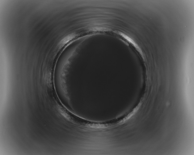 X0000085220881200703091157
