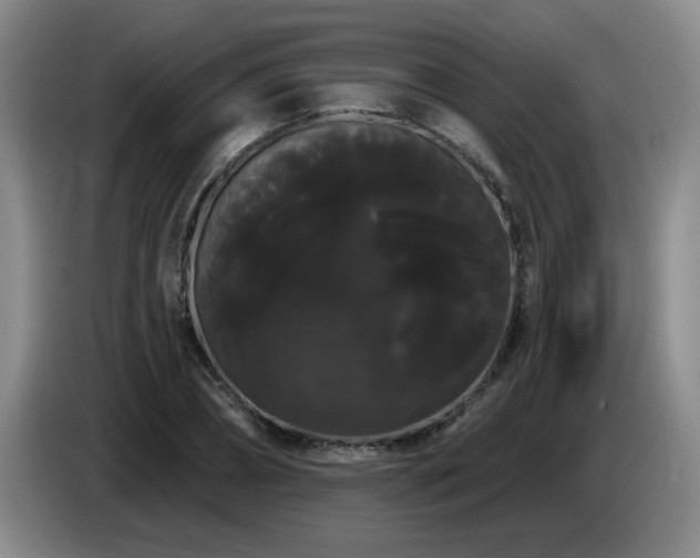 X0000085220882200703091157