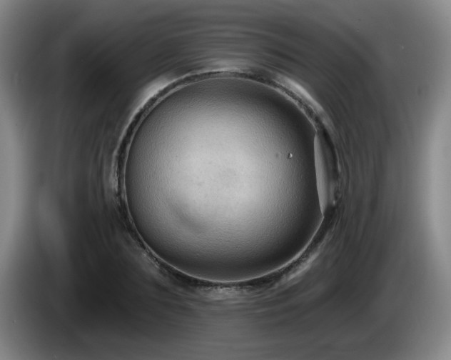 X0000085220883200703091157