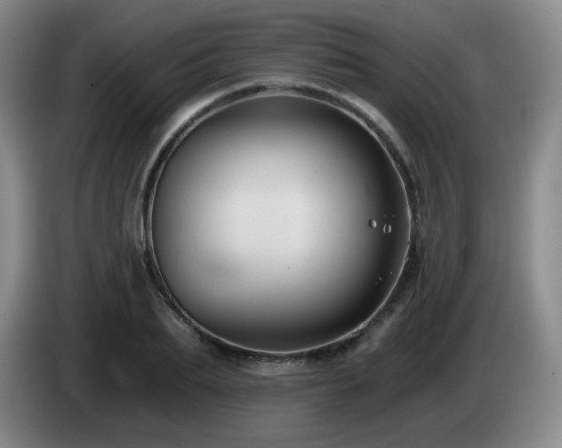 X0000085220887200703091157