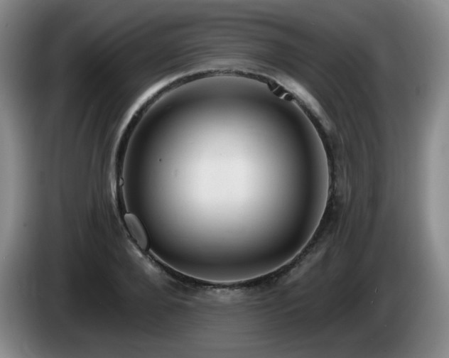 X0000085220888200703091157