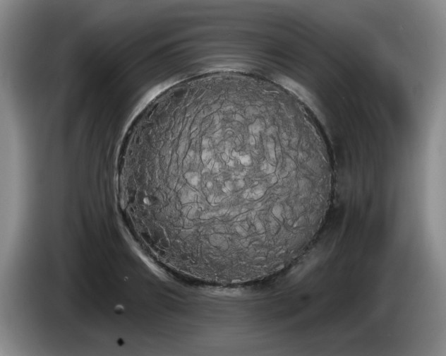 X0000085220890200703091157