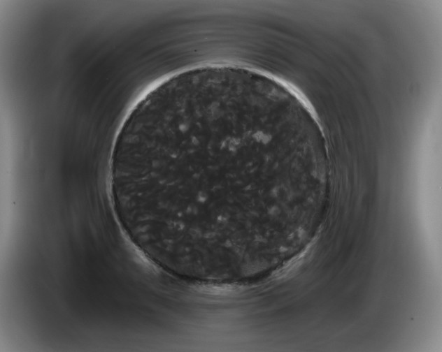 X0000085220895200703091157