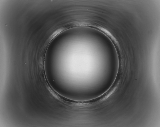 X0000085220897200703091157