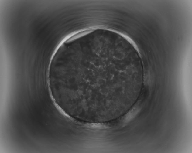 X0000085220903200703091157