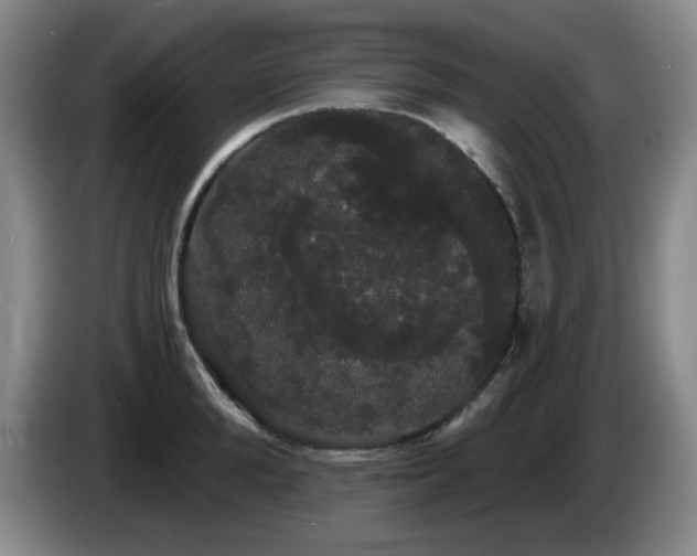 X0000085220904200703091157