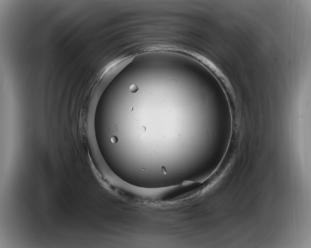 X0000085220905200703091157