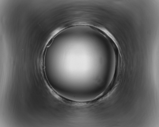 X0000085220909200703091157