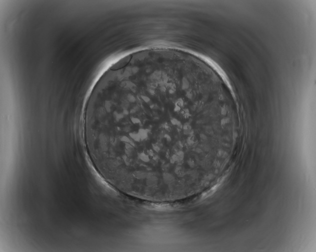 X0000085220911200703091157