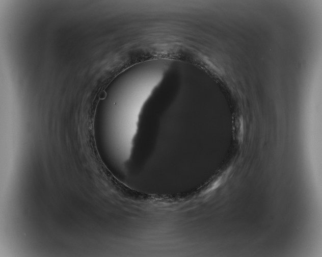 X0000085220913200703091156