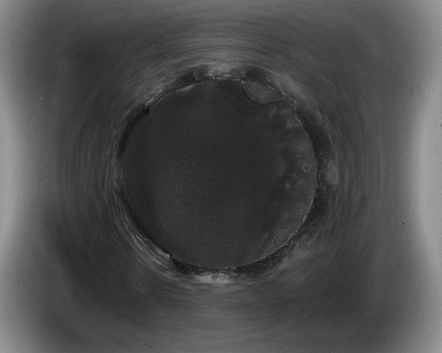 X0000085220914200703091156